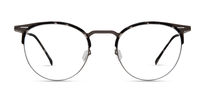 4422 . Grey Tortoise