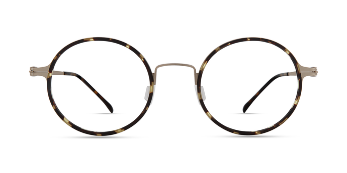 4424 . Gold Tortoise