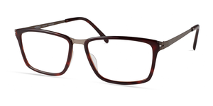 4511 . Brown Tortoise