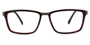 4511 . Brown Tortoise