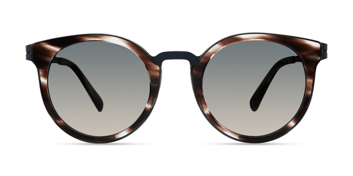 457 . Shadow Tortoise