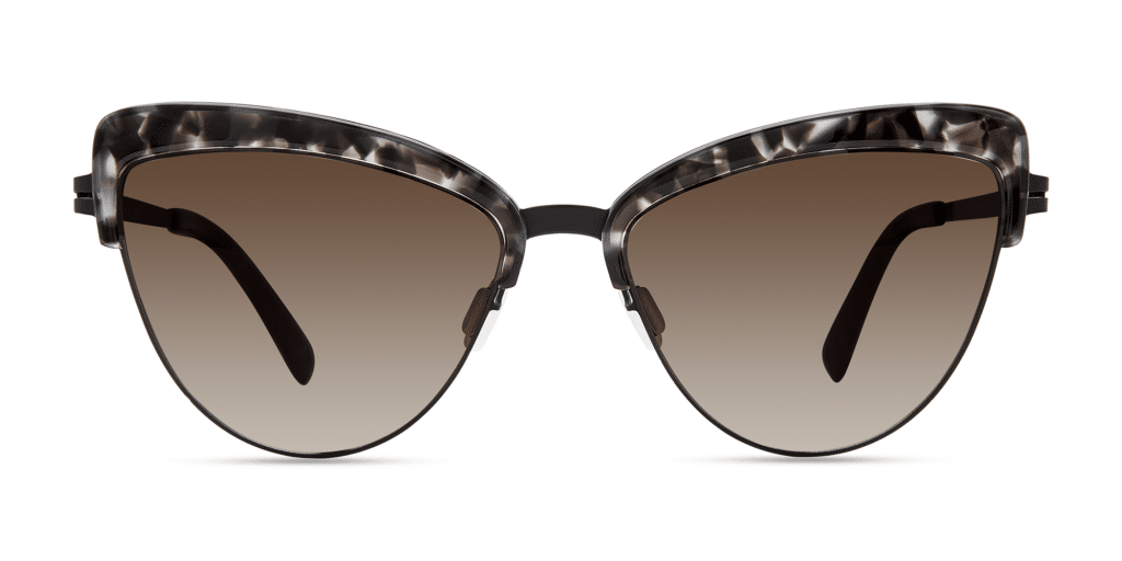 461 . Grey Tortoise