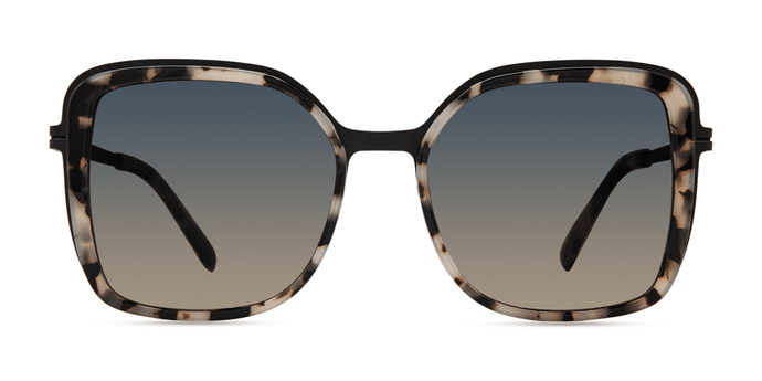 462 . Black-White Tortoise