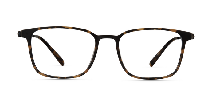 7016 . Brown Tortoise