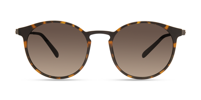 701 . Brown Tortoise