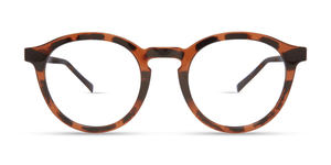 7055 . Brown Tortoise