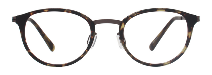 4067 . Green Tortoise